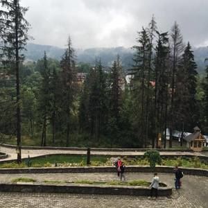 Meet your Posher, Bob